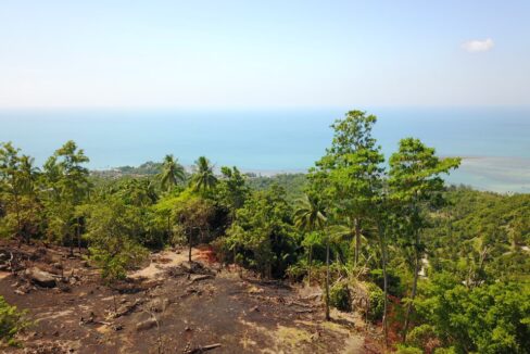 0B7F01E8-BB14-4AA6-B606-8840358942F5