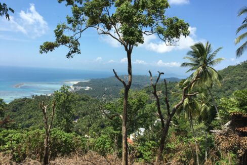 25B6BB31-D804-4CA5-BFF5-0FD18F180F1F