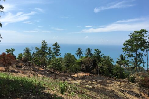 80606754-7945-4AA1-839F-2C28CA809F92