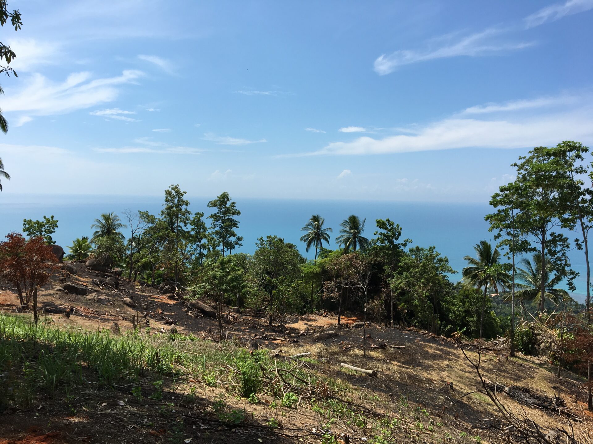 80606754-7945-4AA1-839F-2C28CA809F92