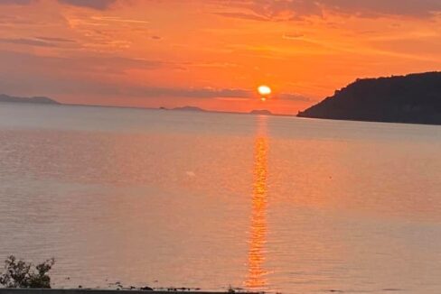 C0E98935-2F93-4A8E-BAF5-99B2CCC3CC1A